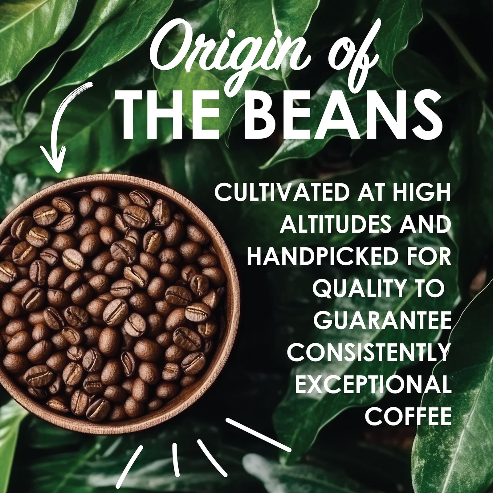 Magnum Exotics Coffee, Blue Mountain Coffee Blend – Medium-Light Roast, Whole Be
