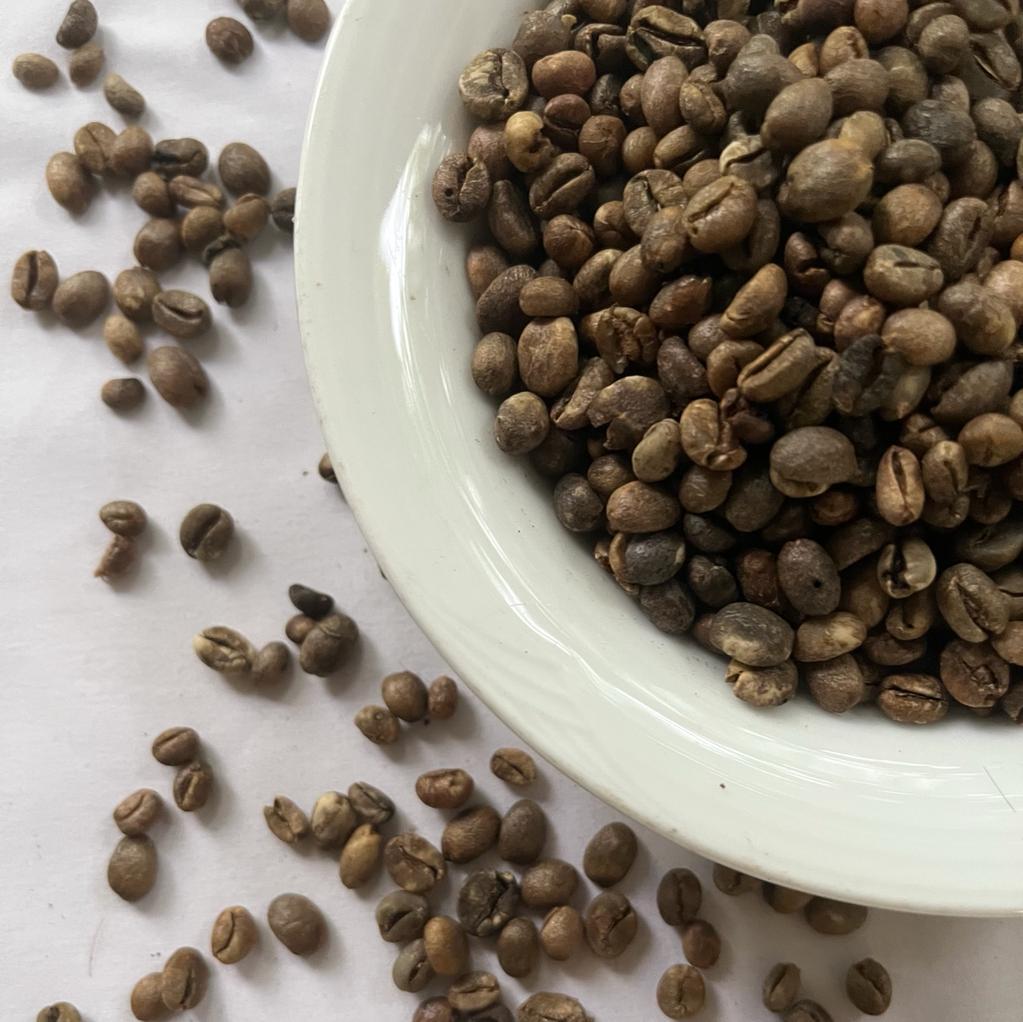 Coffee Beans Unroasted 100% Organic Pure Fresh Natural Best Quality Ceylon 100g