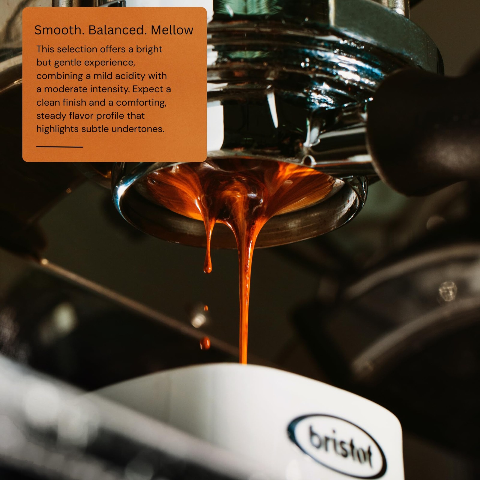 100% Arabica Italian Espresso Beans Medium Roast Whole Coffee 1.1 Lb Bag