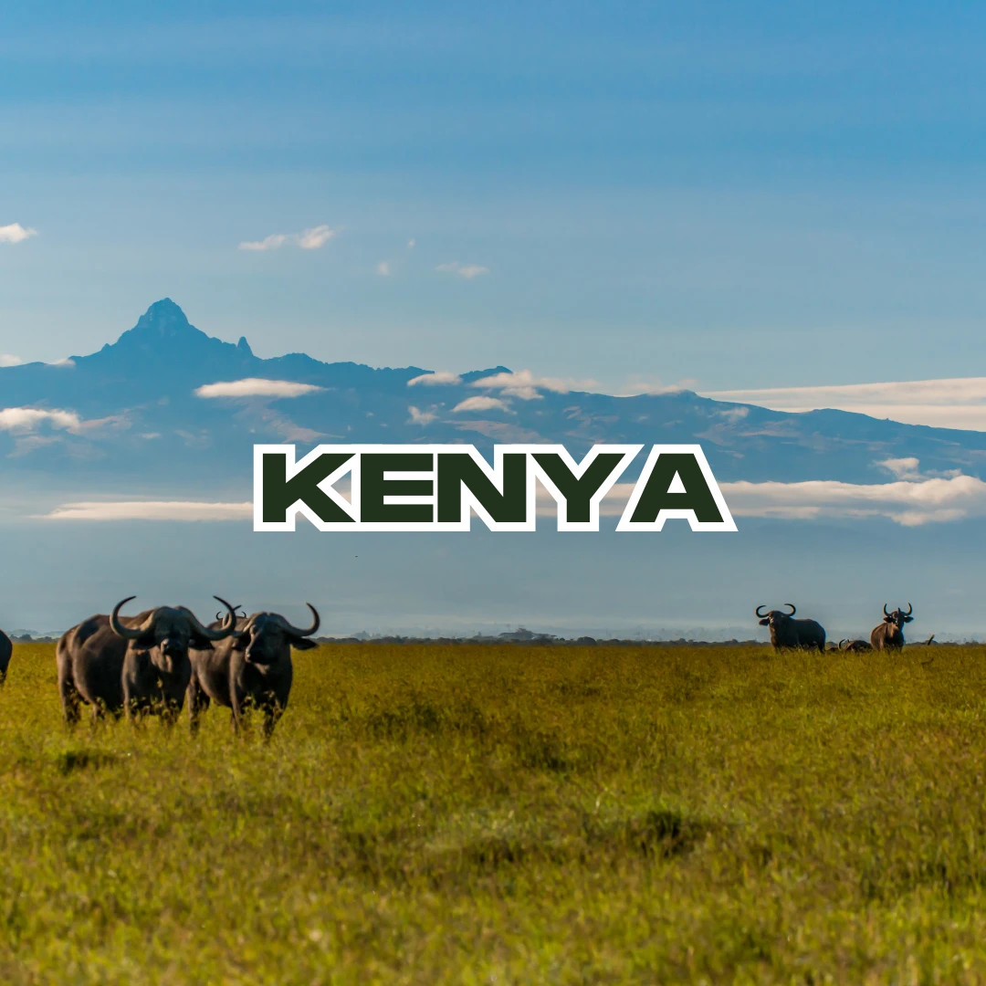 Kenya Koffie – Specialty Grade Organic Coffee – Single Origin