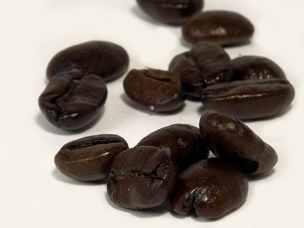 5 LBS Wards House Blend Bean Coffee- Roasted Fresh Everyday!!
