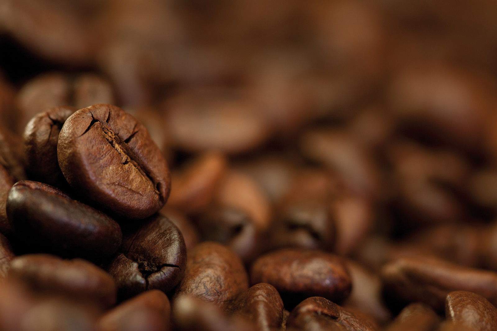 2026 America’s Best Coffee 12 oz, Fresh Roasted Coffee Beans, Medium Roast