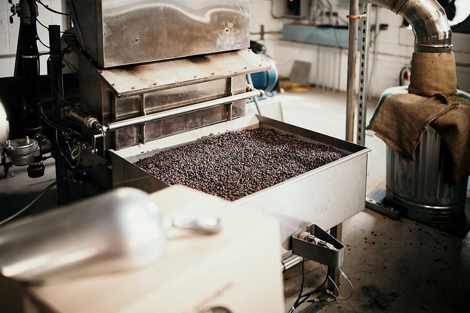 Bright & Flavorful Mexican Chiapas Coffee 80 oz