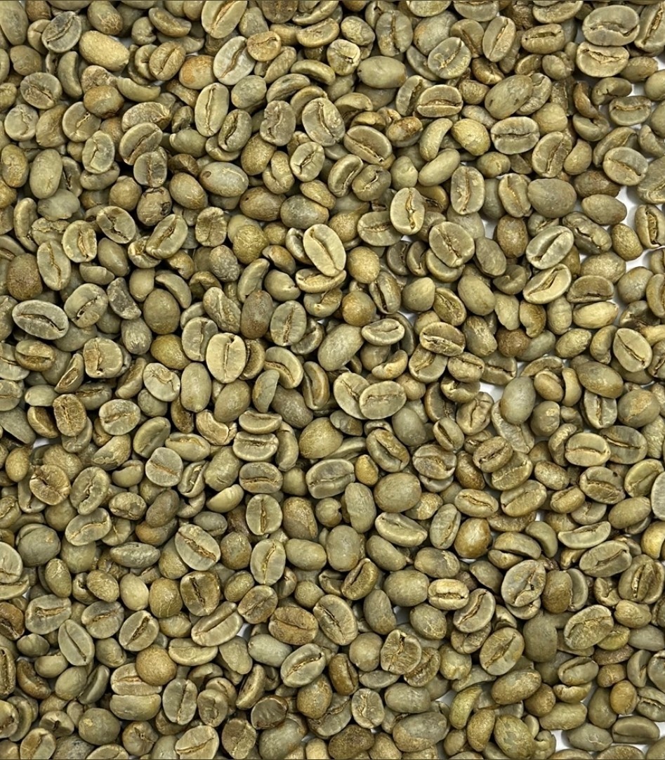 Green Coffee Beans/ Mexican La Laja Honey Tlaltetela Veracruz / 1 Lb / UNROASTED