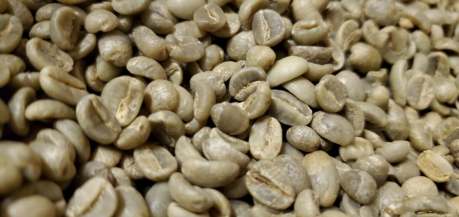 5 LB AFRICA RWANDA RWANDAN GREEN UNROASTED COFFEE BEANS FIVE POUND – ARABICA