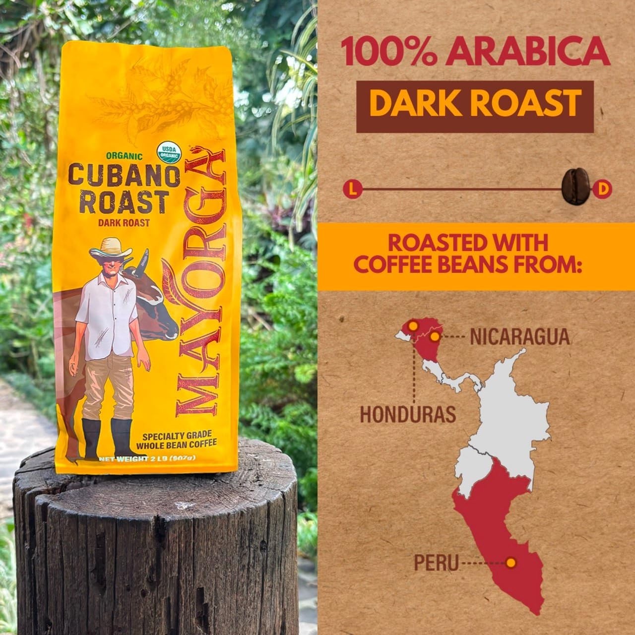 Specialty Grade Whole Bean Coffee – Low Acidity 2lb