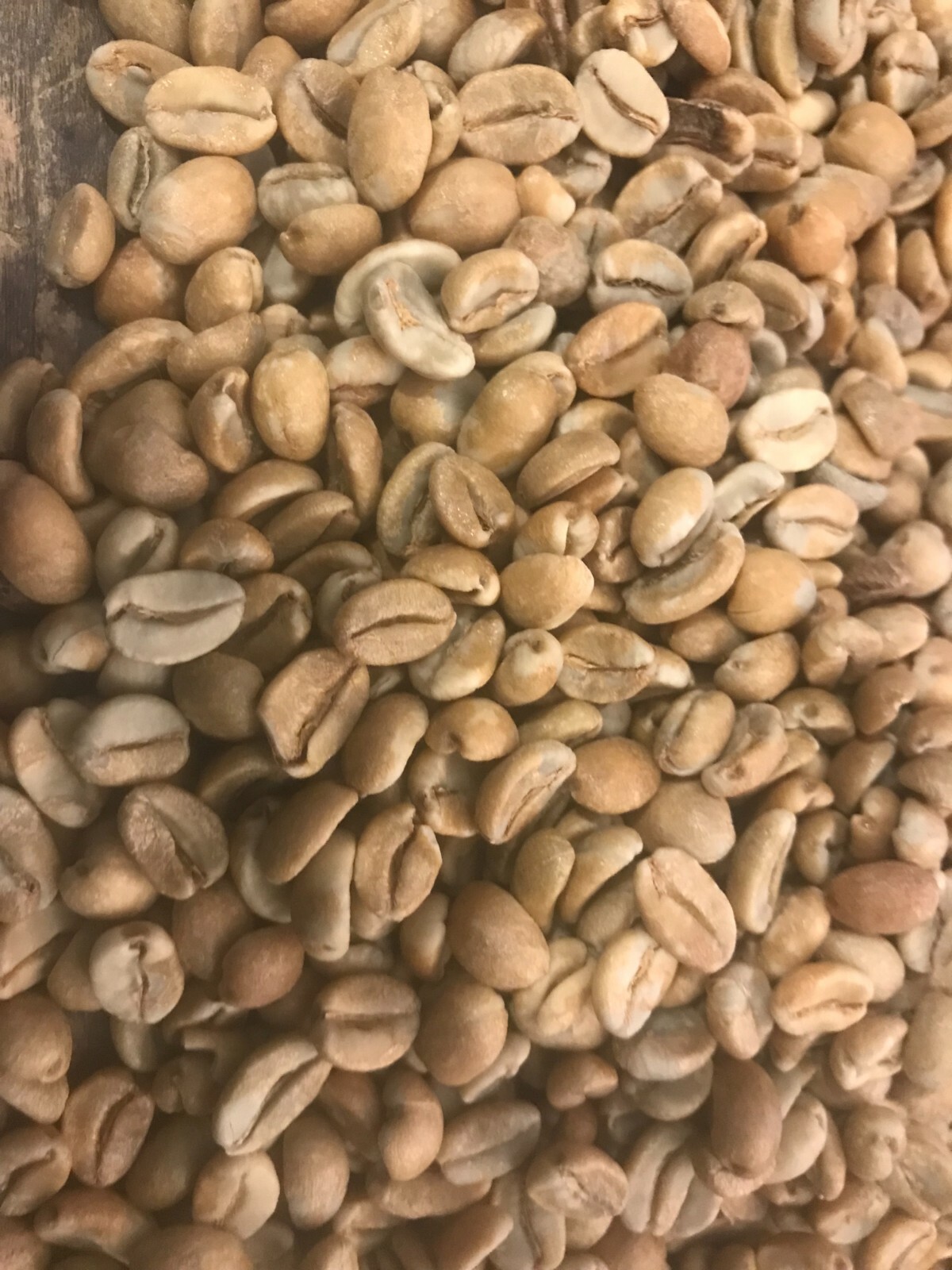 green coffee beans 5 pounds Colombian Anaerobic natural process.